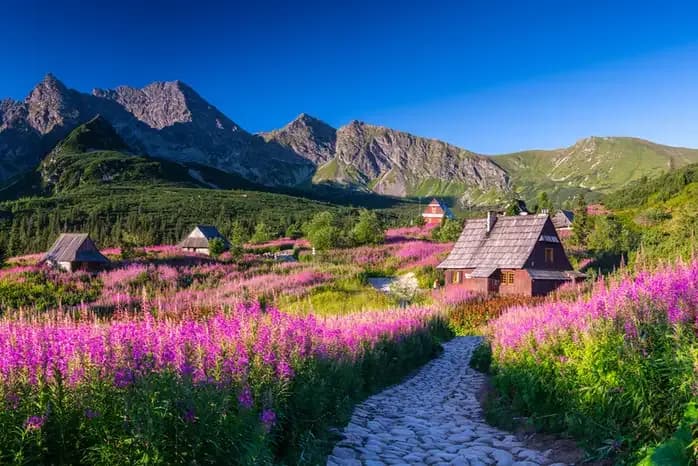 Polskie góry gdzie jechać latem - najlepsze miejsca na wakacje