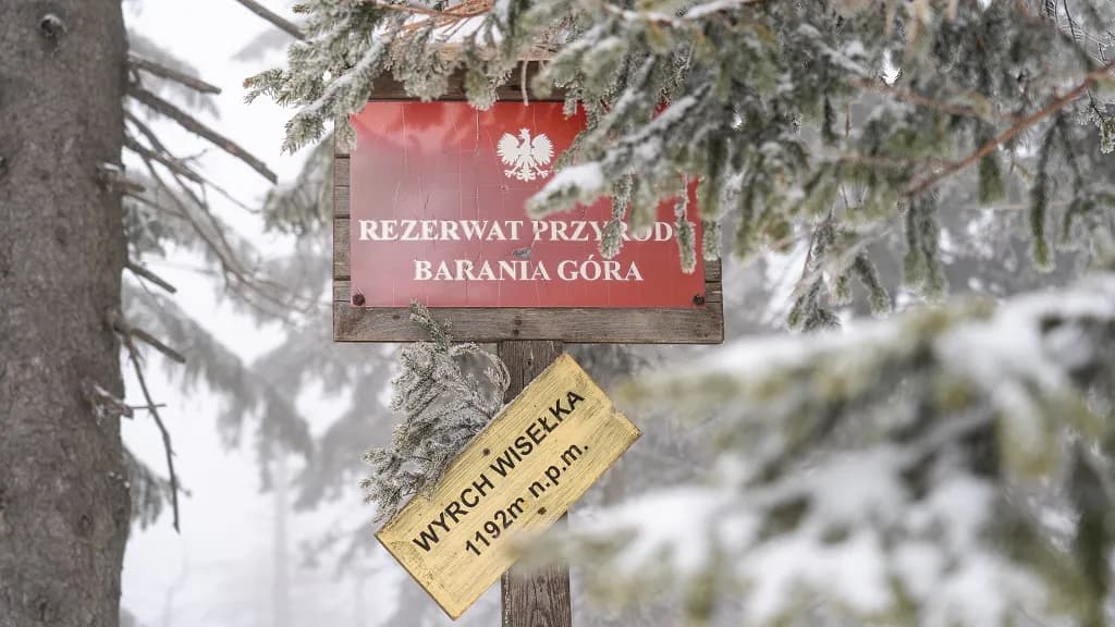 Gdzie jest Barania Góra? Odkryj jej lokalizację i atrakcje w okolicy